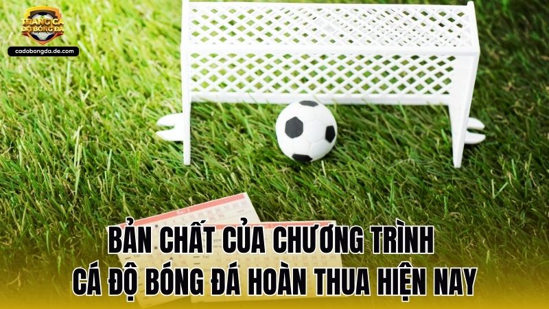 Bản chất của chương trình cá độ bóng đá hoàn thua hiện nay