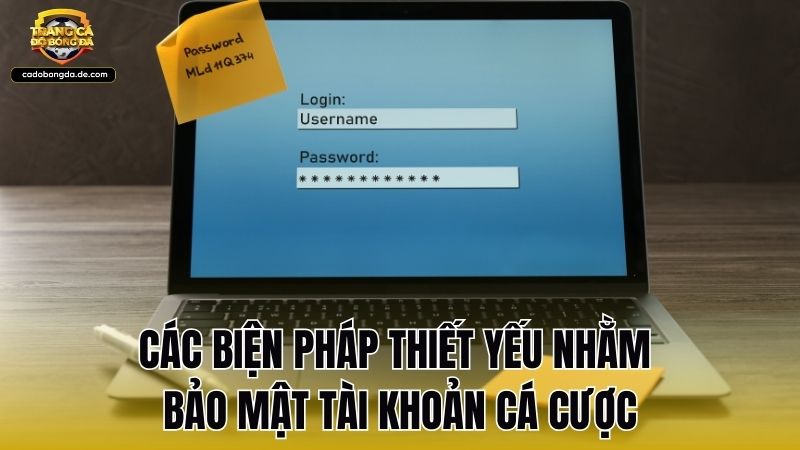 Các biện pháp thiết yếu nhằm bảo mật tài khoản cá cược
