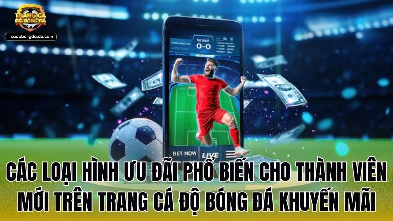 Các loại hình ưu đãi phổ biến cho thành viên mới trên Trang Cá Độ Bóng Đá khuyến mãi