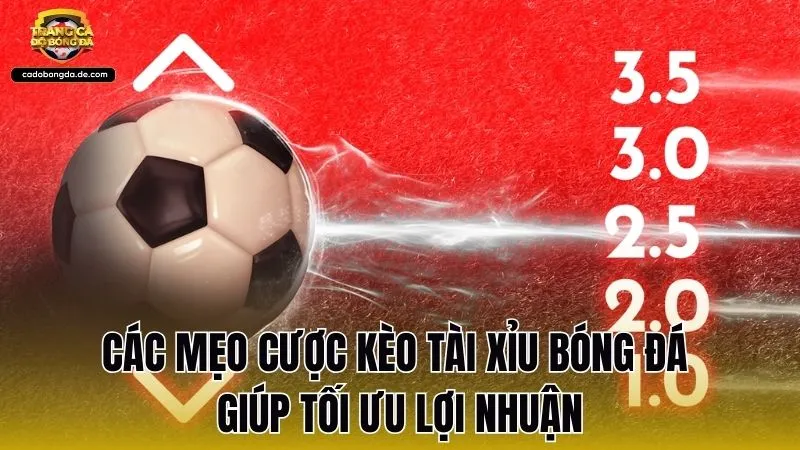 Các mẹo cược kèo tài xỉu bóng đá giúp tối ưu lợi nhuận