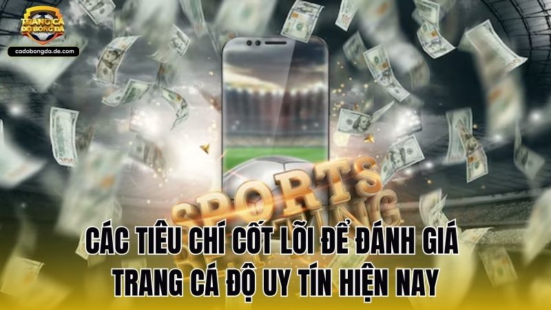 Các tiêu chí cốt lõi để đánh giá trang cá độ uy tín hiện nay