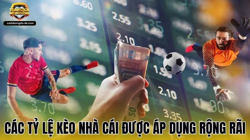 Các tỷ lệ kèo nhà cái được áp dụng rộng rãi
