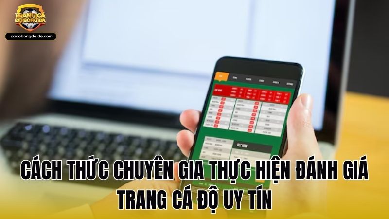 Cách thức chuyên gia thực hiện đánh giá trang cá độ uy tín
