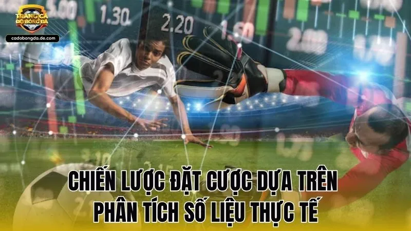 Chiến lược đặt cược dựa trên phân tích số liệu thực tế