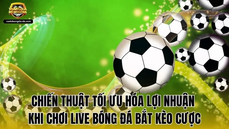 Chiến thuật tối ưu hóa lợi nhuận khi chơi live bóng đá bắt kèo cược