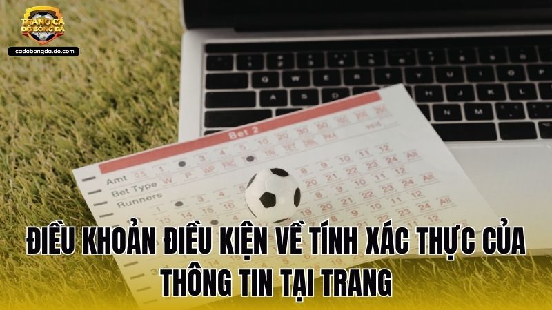 Điều khoản điều kiện về tính xác thực của thông tin tại trang