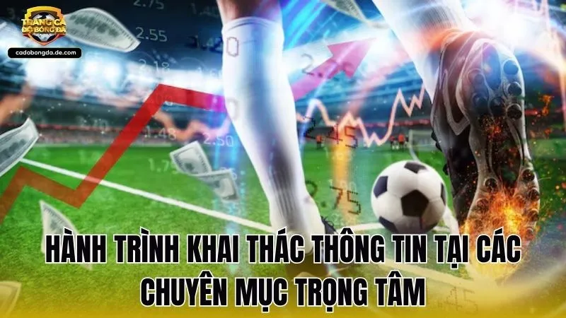 Hành trình khai thác thông tin tại các chuyên mục trọng tâm