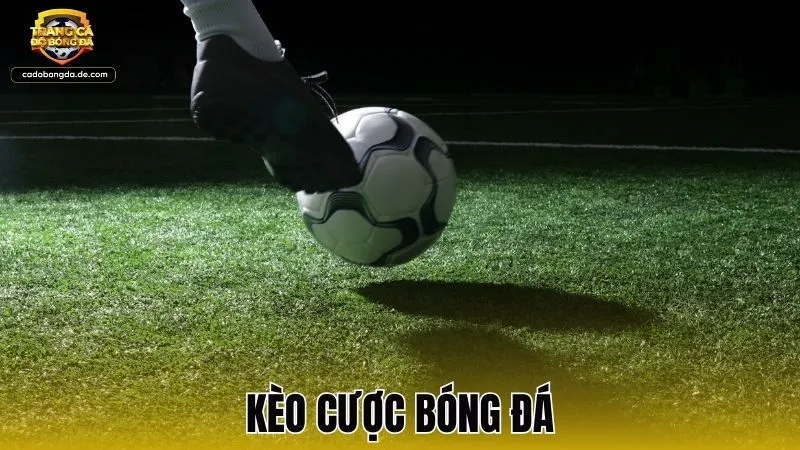 Top 9 kèo cược bóng đá dễ thắng nhất cho người mới chơi