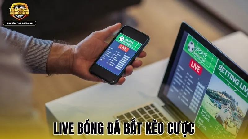Live bóng đá bắt kèo cược và bí kíp chiến thắng tại nhà cái