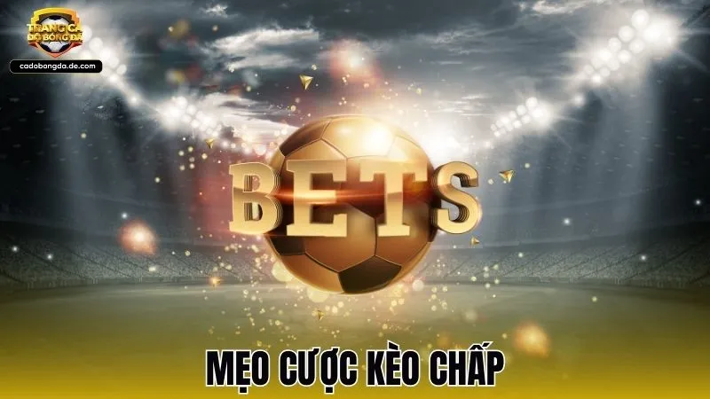 Mẹo cược kèo chấp hiệu quả nhất cho người chơi mới 2026