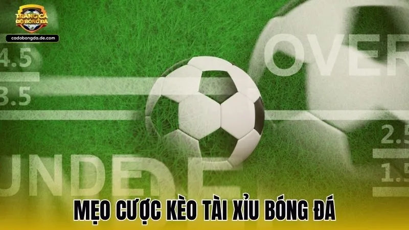 Mẹo cược kèo tài xỉu bóng đá chuẩn xác từ chuyên gia