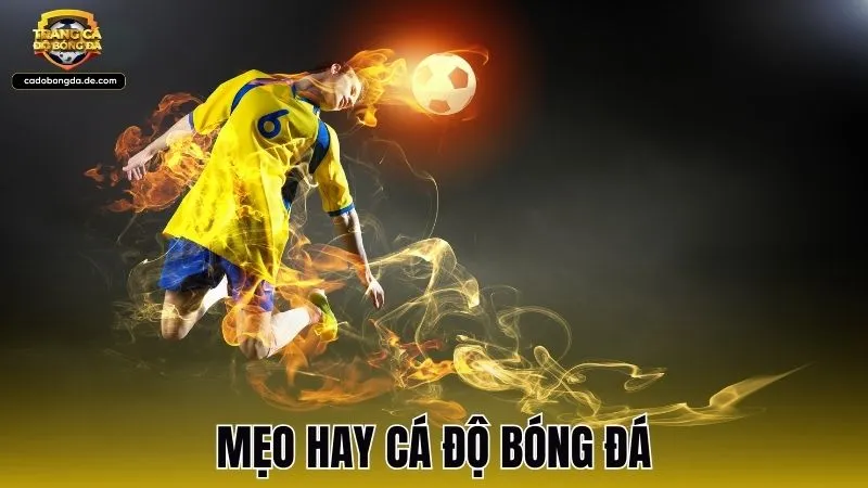 Mẹo hay cá độ bóng đá giúp gia tăng tỷ lệ thắng kèo