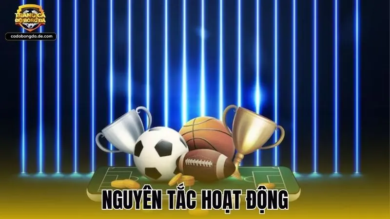 Nguyên tắc hoạt động