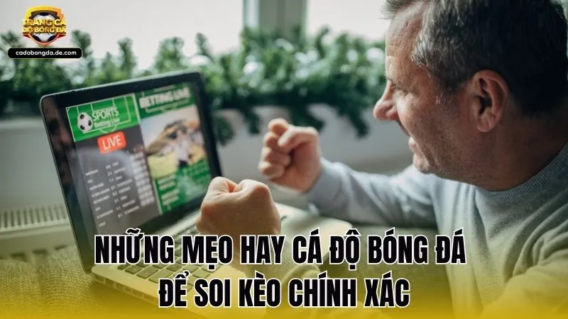 Những mẹo hay cá độ bóng đá để soi kèo chính xác