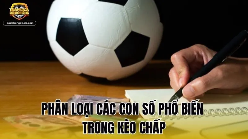Phân loại các con số phổ biến trong kèo chấp
