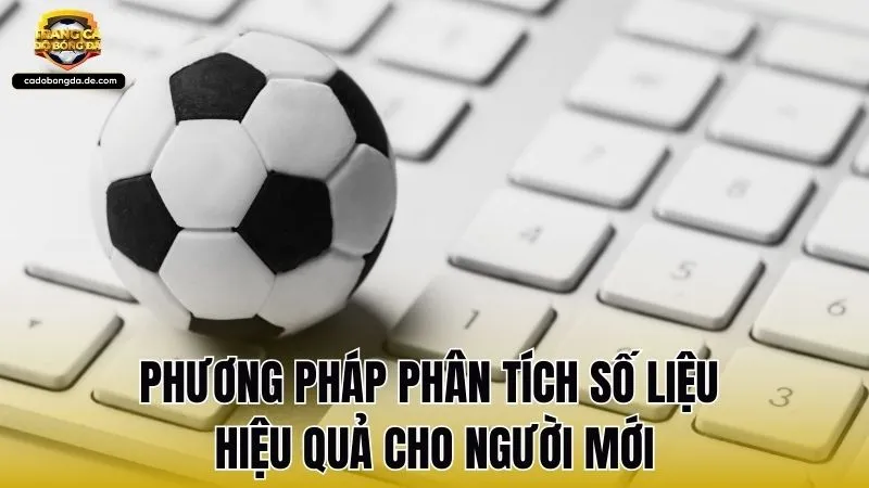 Phương pháp phân tích số liệu hiệu quả cho người mới