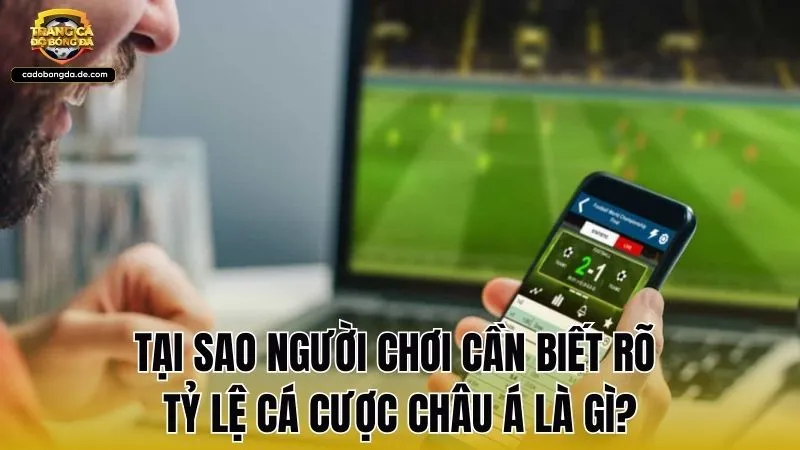 Tại sao người chơi cần biết rõ tỷ lệ cá cược châu Á là gì?