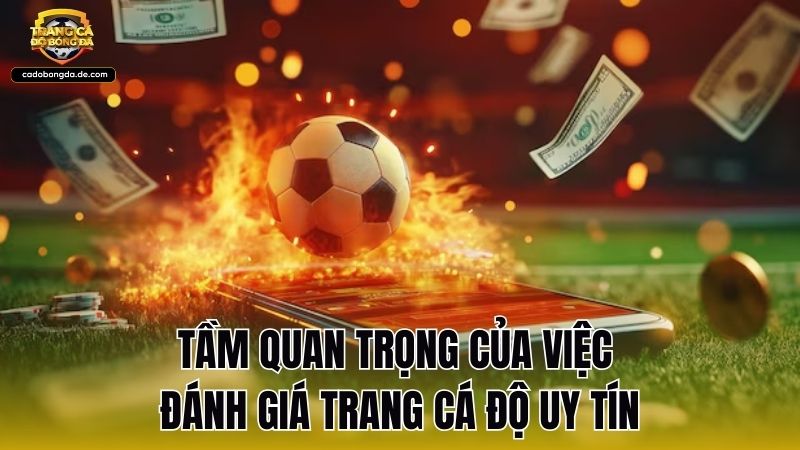Tầm quan trọng của việc đánh giá trang cá độ uy tín