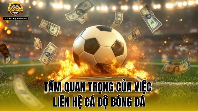 Tầm quan trọng của việc liên hệ Cá Độ Bóng Đá