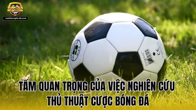 Tầm quan trọng của việc nghiên cứu thủ thuật cược bóng đá