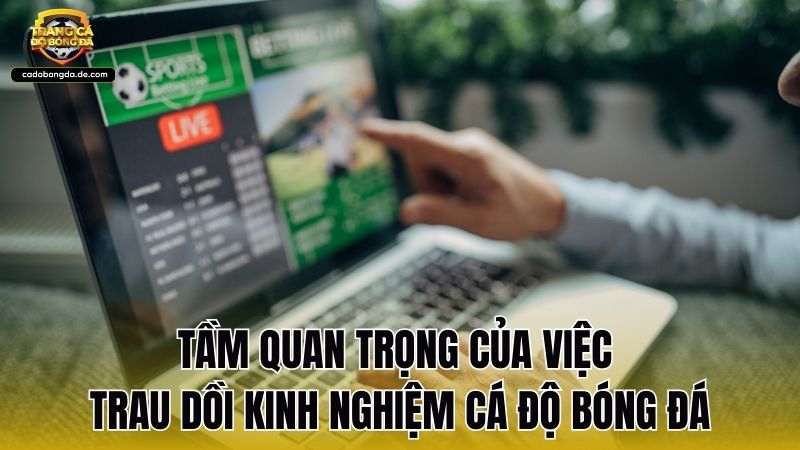 Tầm quan trọng của việc trau dồi kinh nghiệm cá độ bóng đá