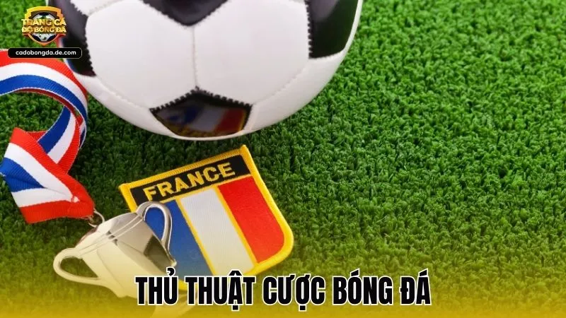 Các thủ thuật cược bóng đá hiệu quả và kinh nghiệm soi kèo