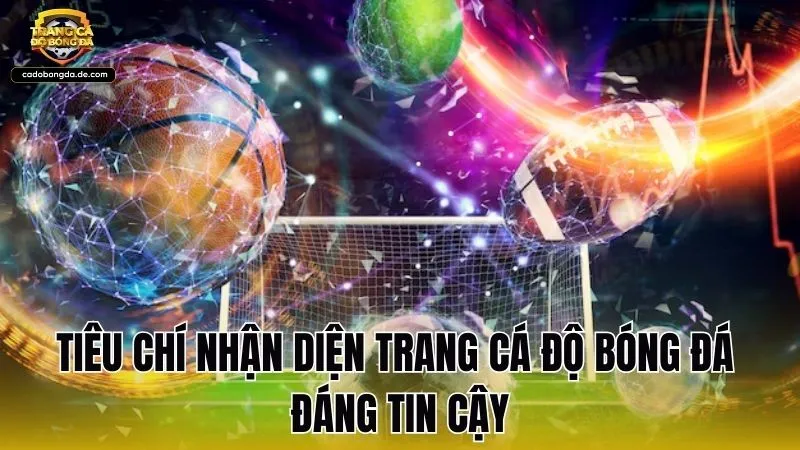 Tiêu chí nhận diện trang cá độ bóng đá đáng tin cậy