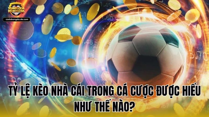 Tỷ lệ kèo nhà cái trong cá cược được hiểu như thế nào?