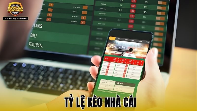 Bí quyết đọc tỷ lệ kèo nhà cái chính xác nhất cho người mới