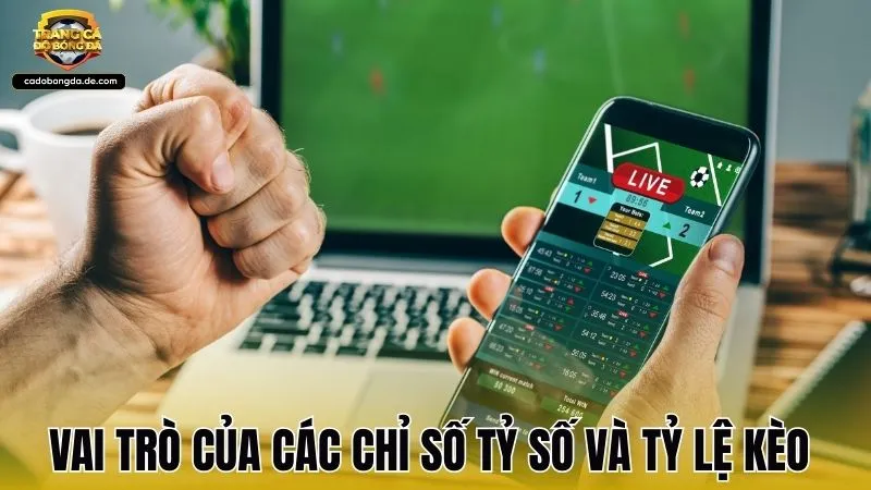 Vai trò của các chỉ số tỷ số và tỷ lệ kèo