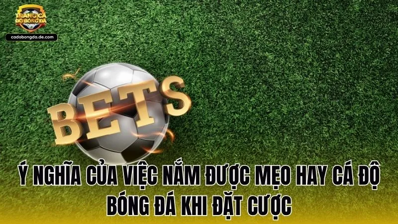 Ý nghĩa của việc nắm được mẹo hay cá độ bóng đá khi đặt cược